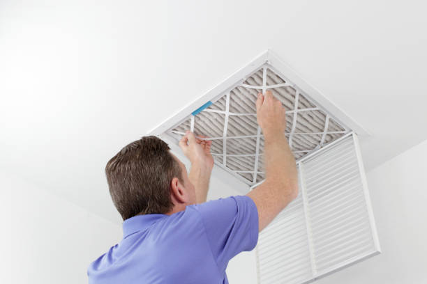 Best Affordable Duct Cleaning Services  in Forest Hills, TN